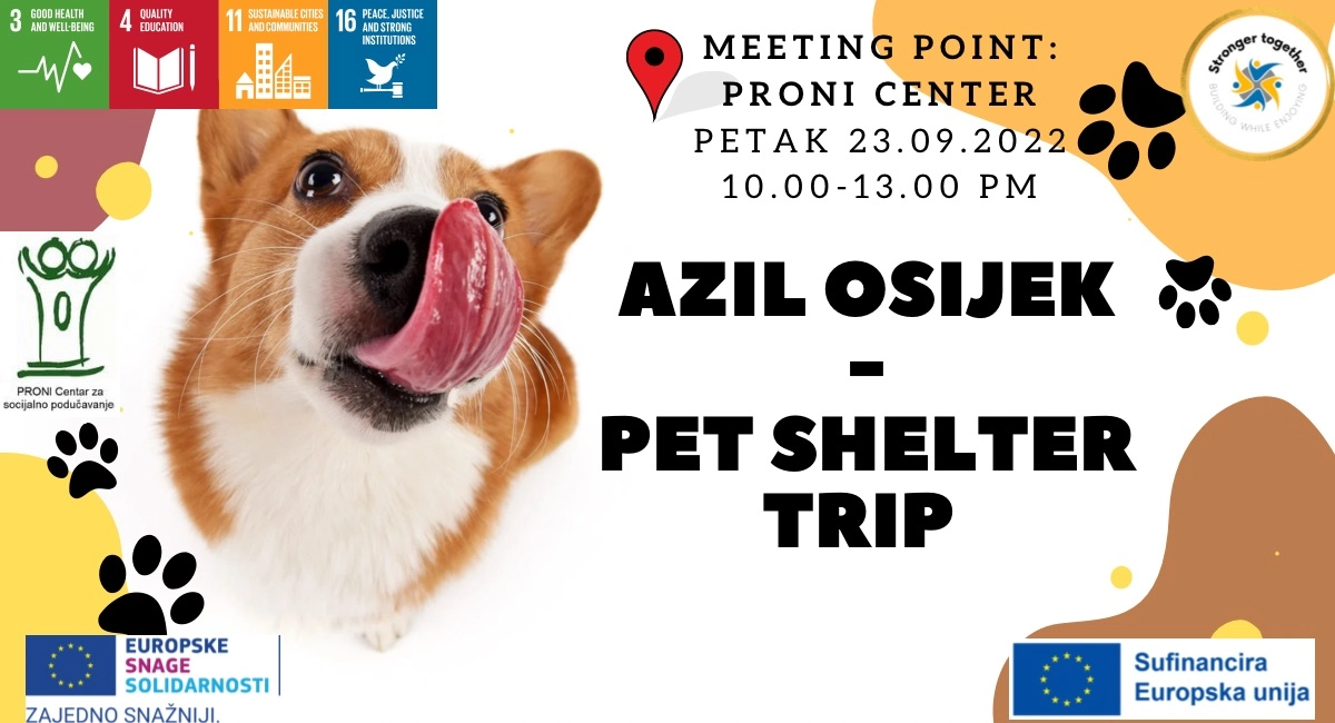 Druženje i šetnja pasa u Azilu