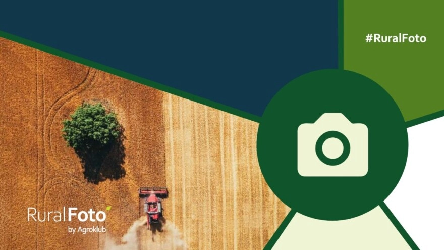 Biraju se najbolje ruralne fotografije u 2024. godini - nominirajte svoju